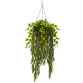 Bamboo & Dendrobium Hanging Basket Green D2775