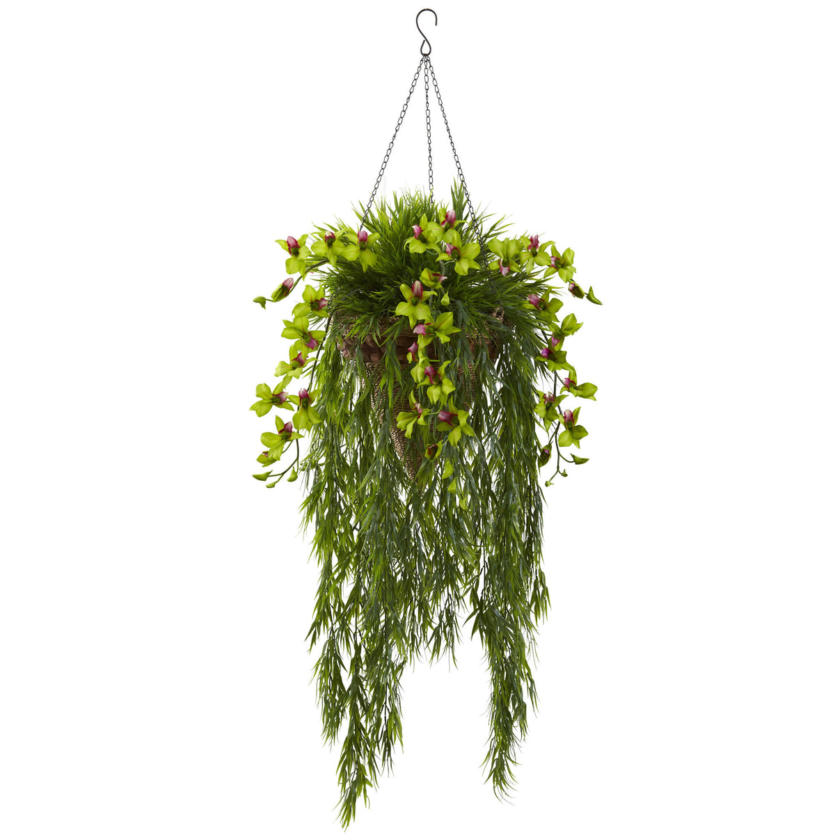 Bamboo & Dendrobium Hanging Basket Green D2775