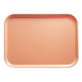 Fiberglass Cafeteria Tray V663421