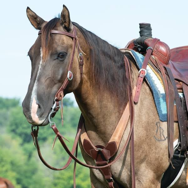 Leather Pulling Breast Collar O895