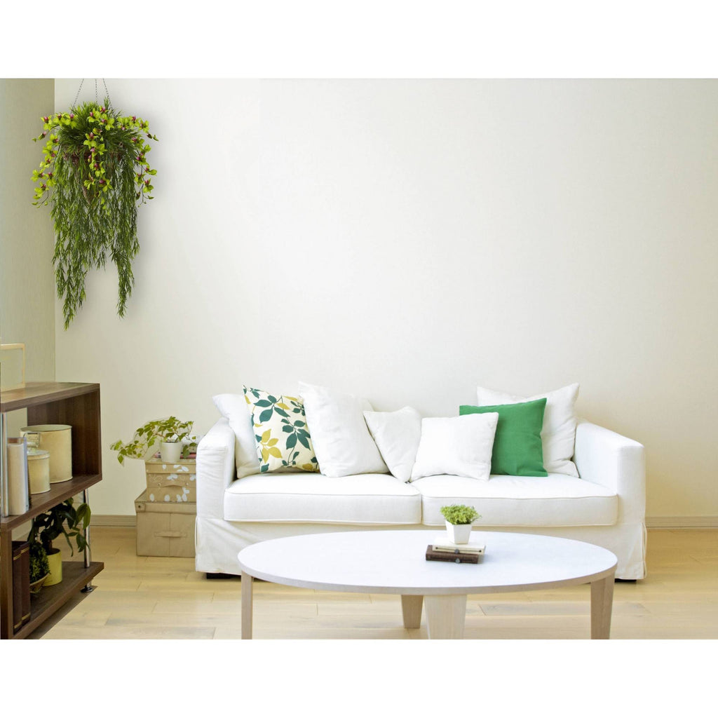 Bamboo & Dendrobium Hanging Basket Green D2775