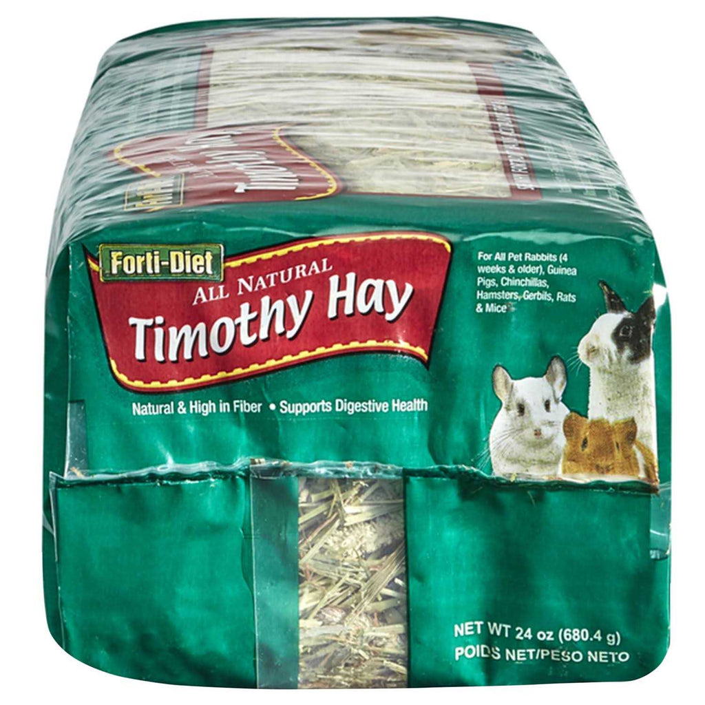 Timothy Hay W565