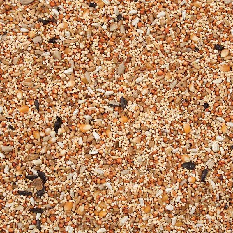 Dove Quail Food I519122