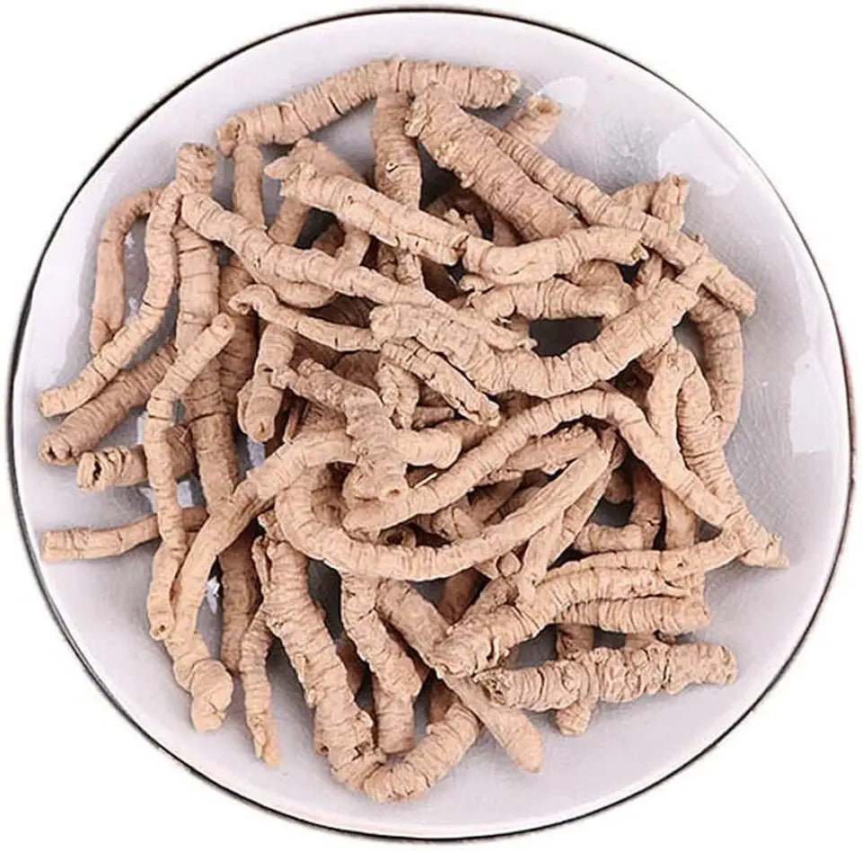 500 Grams Pure Natural Thinleaf Milkwort Root Herbal Supplements M313