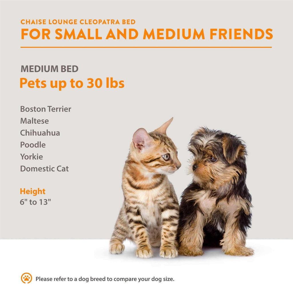 Chaise Lounge Pet Bed N64455