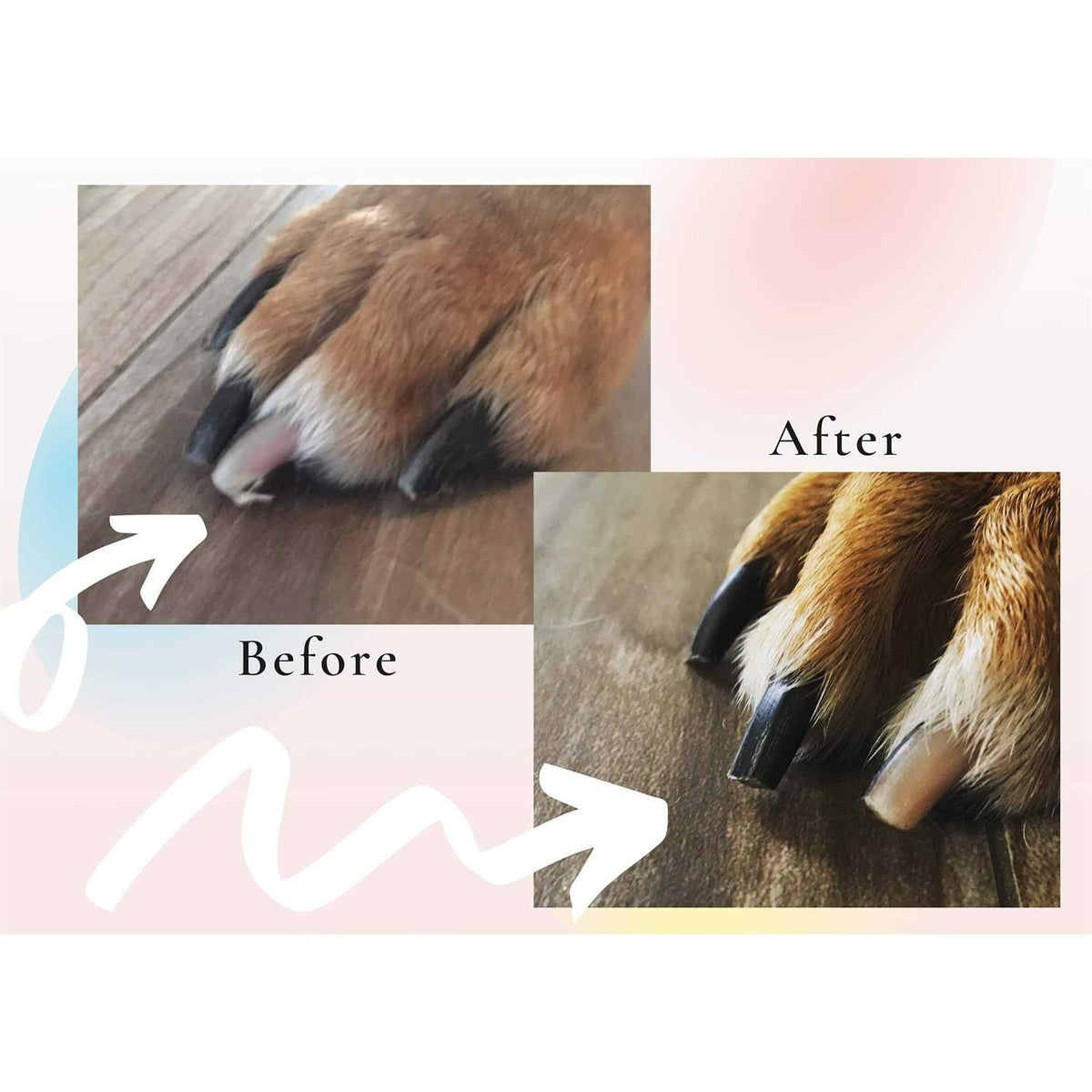 Pet Supplies Q642