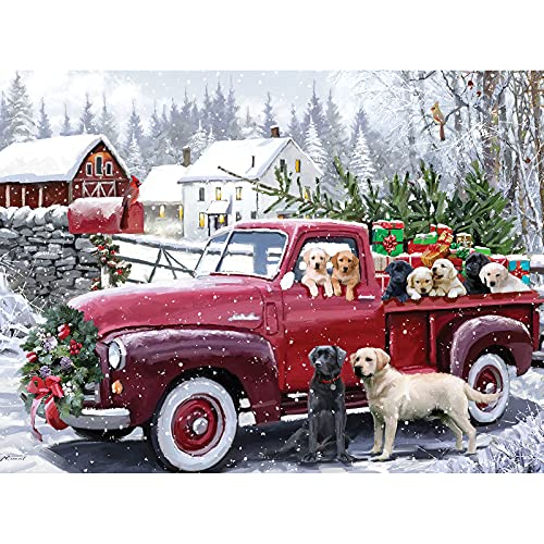 500 Piece Jigsaw Puzzles S91442