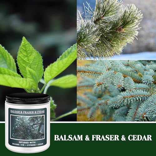 Christmas Tree Fir Pine Candles Z92788