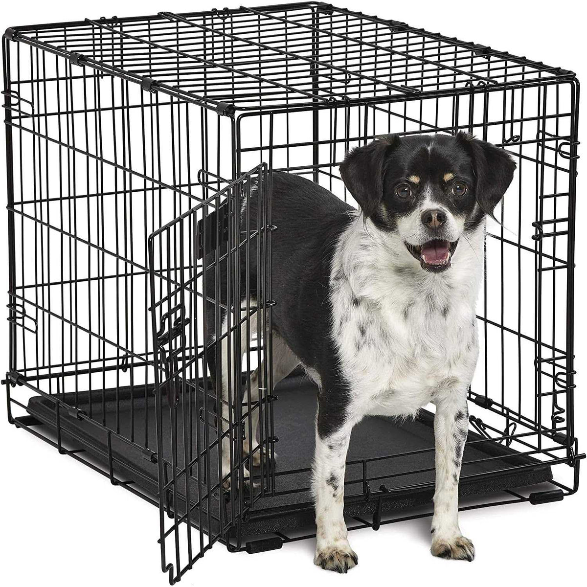 Single-Door Dog Crate K306148
