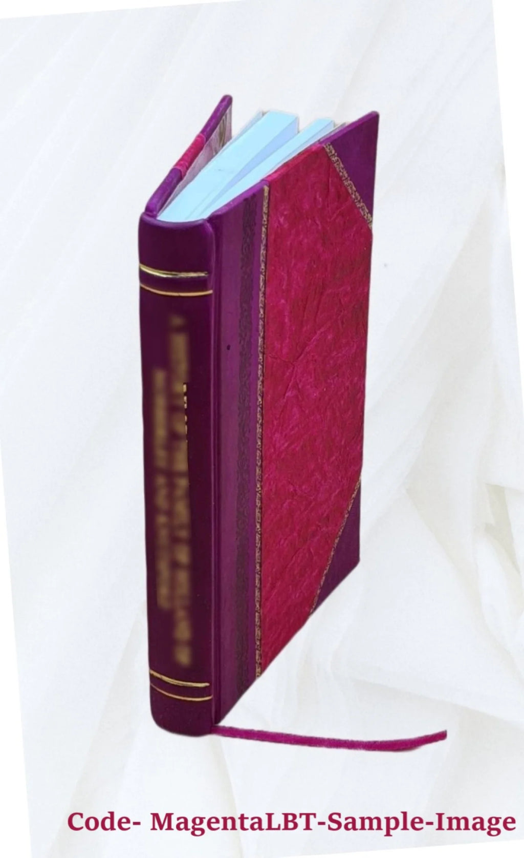 Legal Consultations Concerning the Binding Force of the Decision of the Conference of Ambassadors X5580