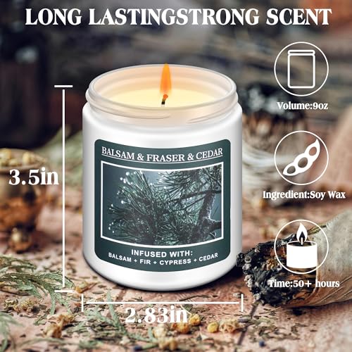 Christmas Tree Fir Pine Candles Z92788