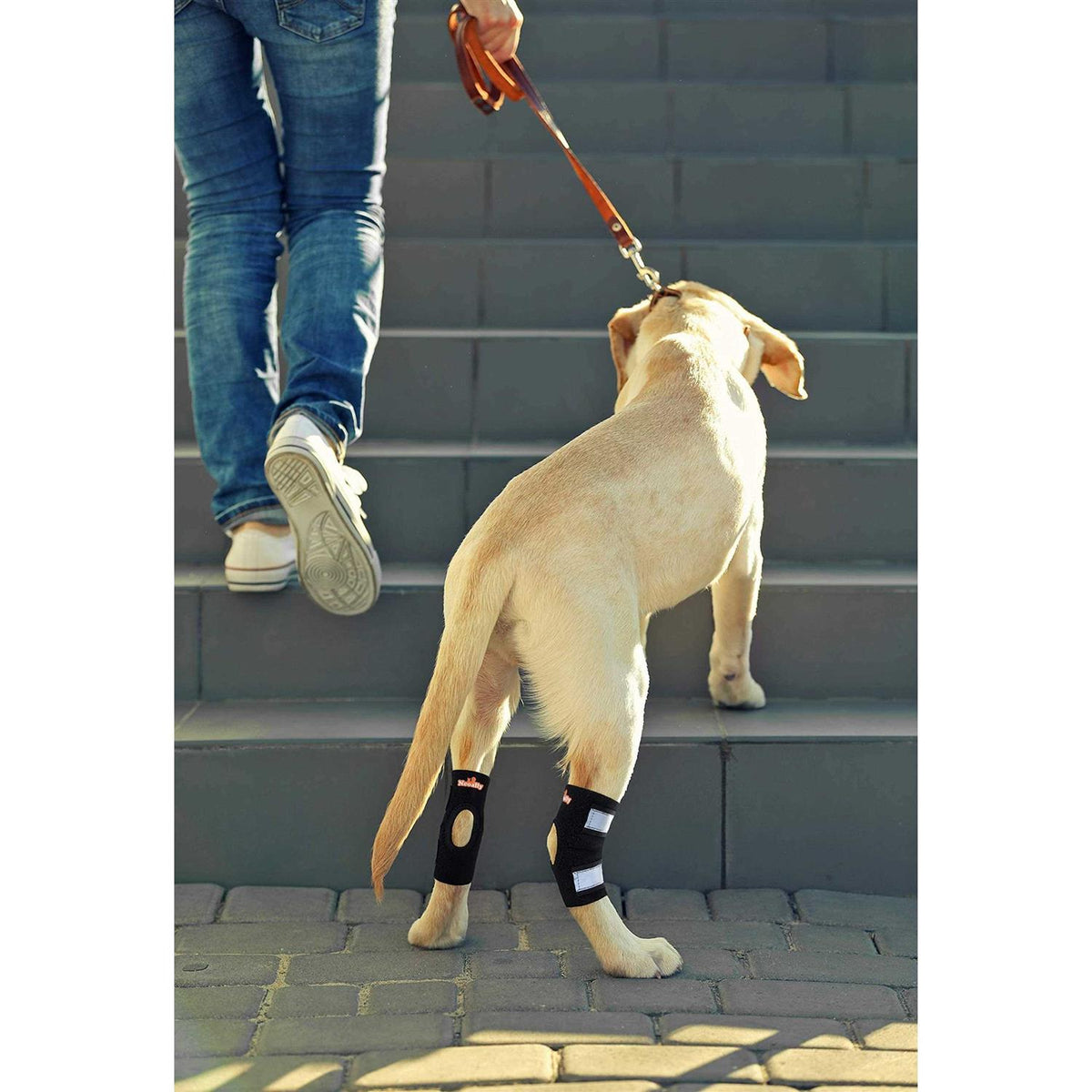 Dog Rear Leg Hock Ankle Support with Reflective Straps K580