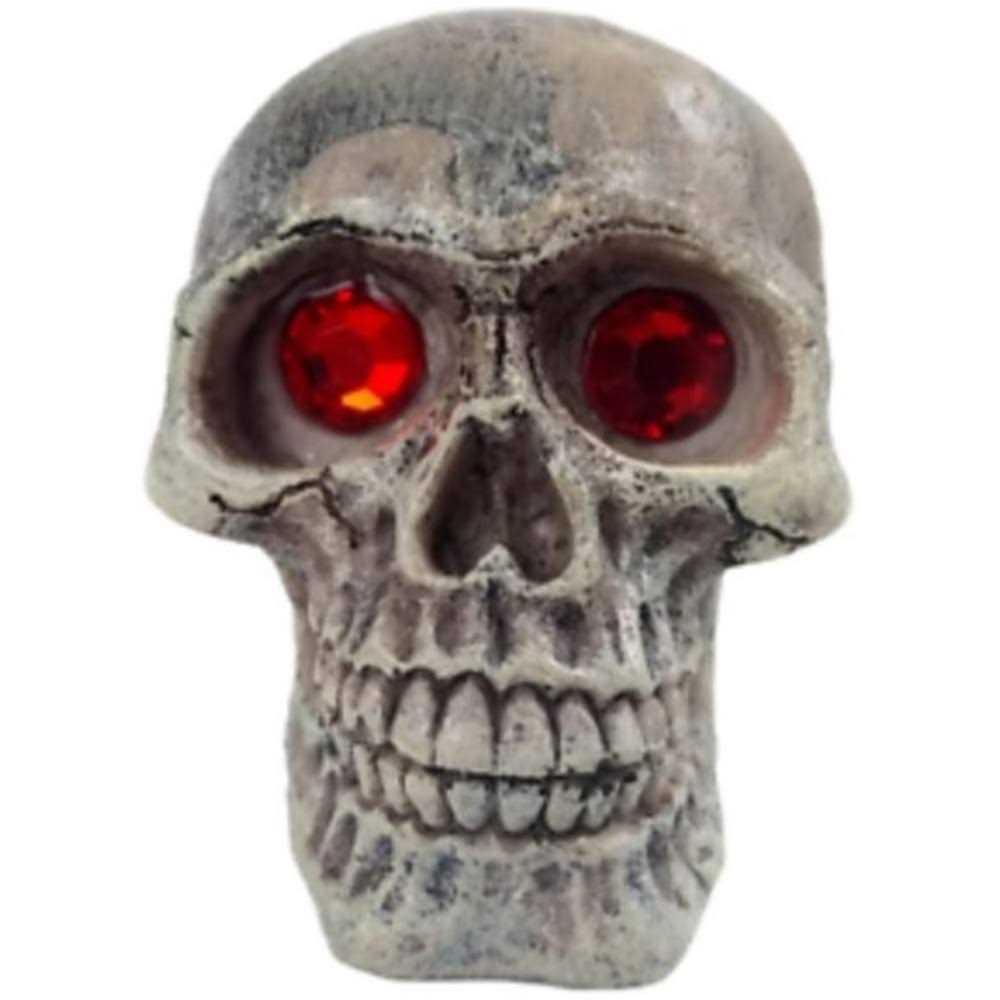 Skull Gazer Ornament R5214