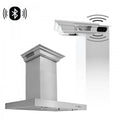 42 in. Stainless Steel Wall Range Hood Y5810