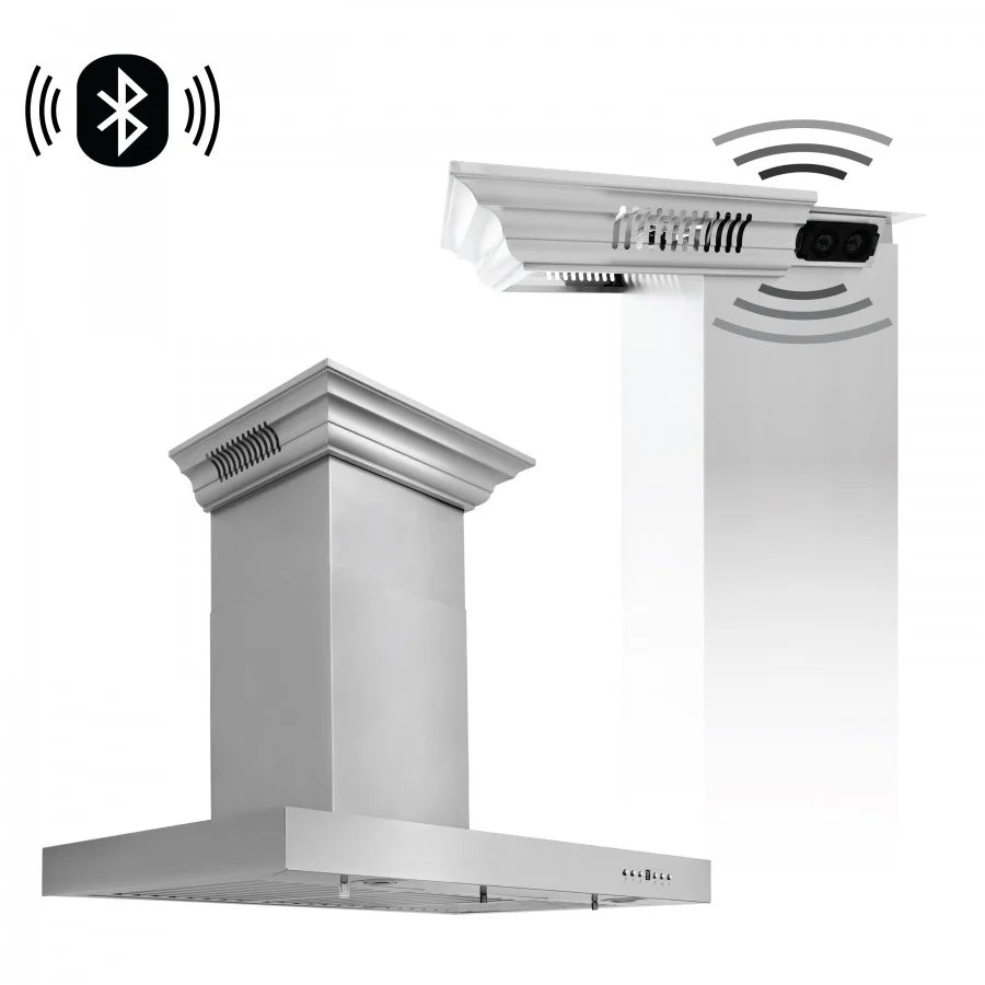 42 in. Stainless Steel Wall Range Hood Y5810